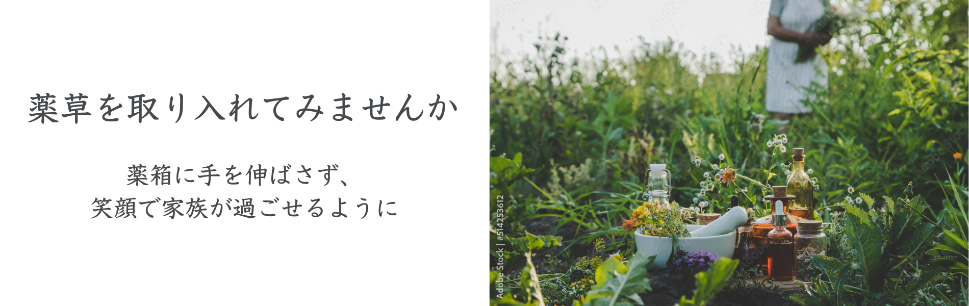 薬草を取り入れてみませんか